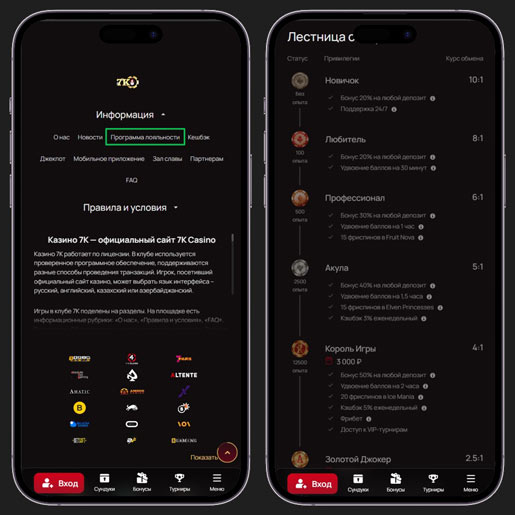 Правила программы