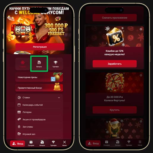 Бонусы площадки