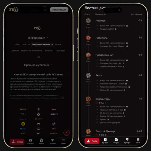 Программа лояльности